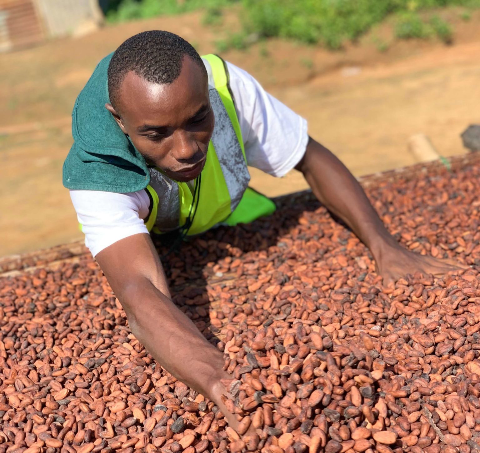 Sun Drying Wassa East Cocoa